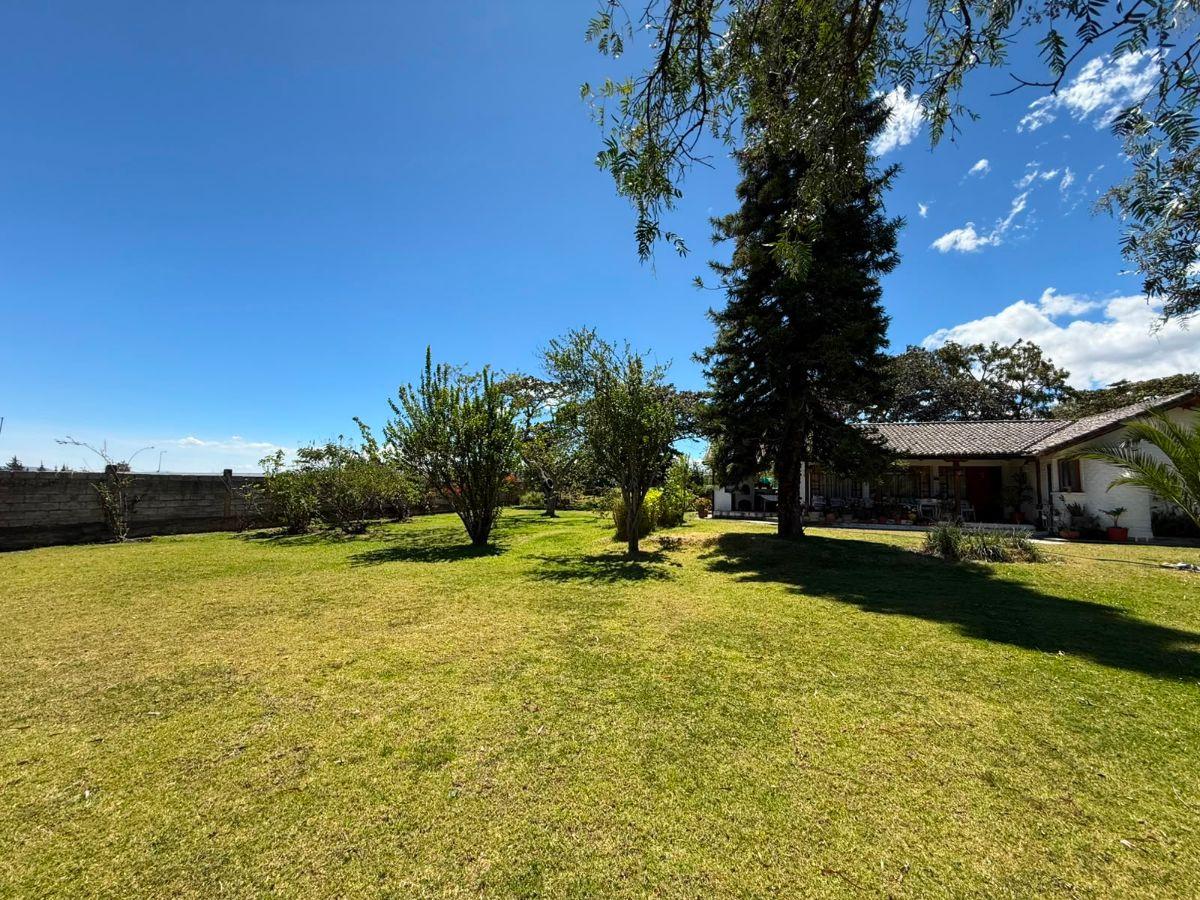 Terreno de 4250 m² en Venta Entre Puembo y Pifo — imagen 10