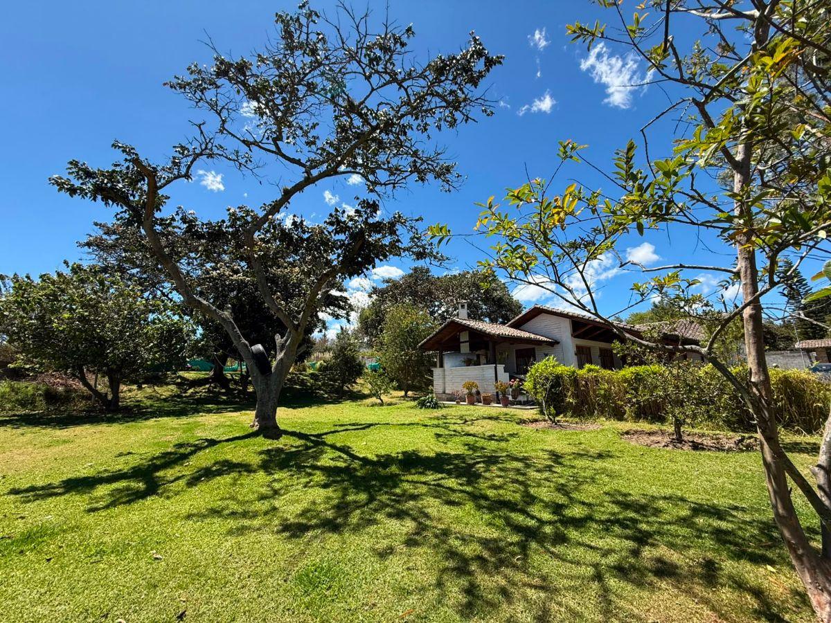 Terreno de 4250 m² en Venta Entre Puembo y Pifo — imagen 8