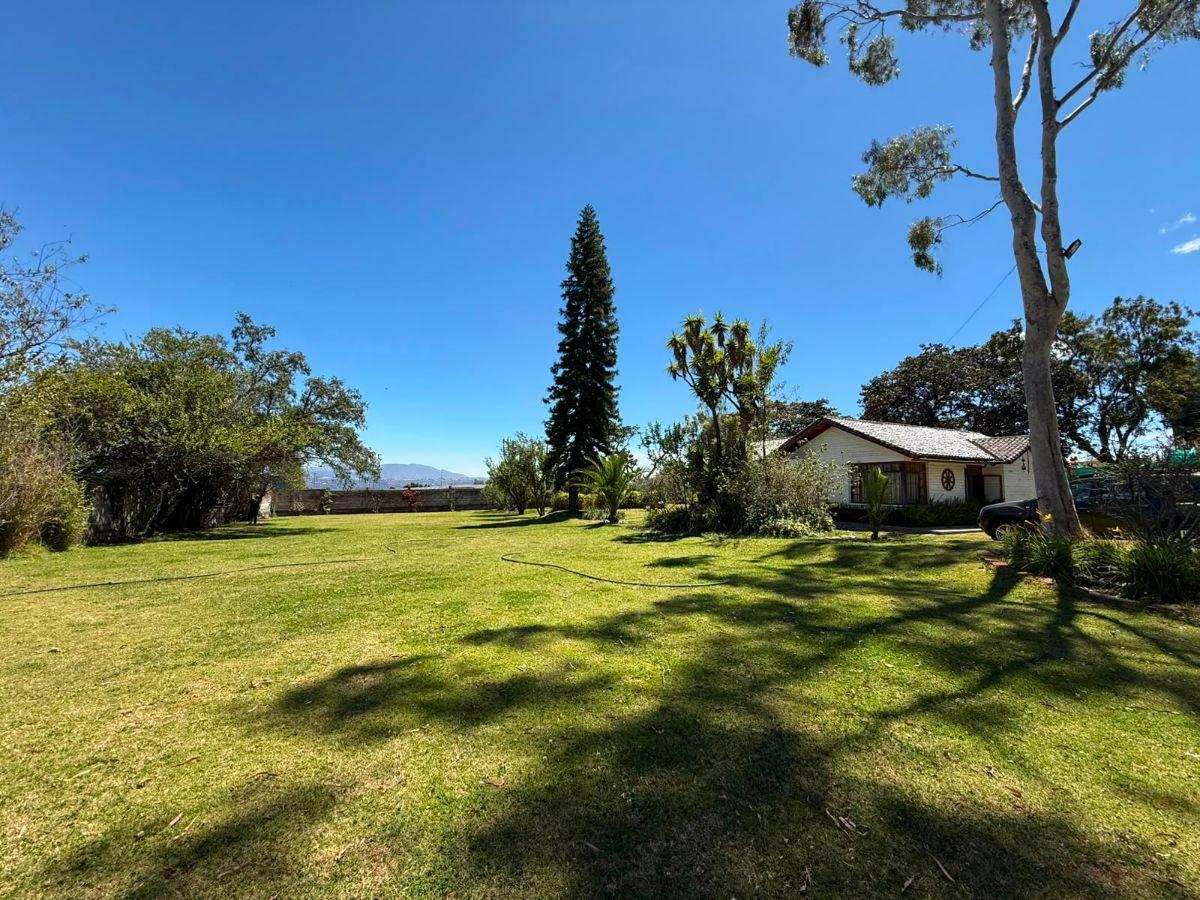 Terreno de 4250 m² en Venta Entre Puembo y Pifo — imagen 7