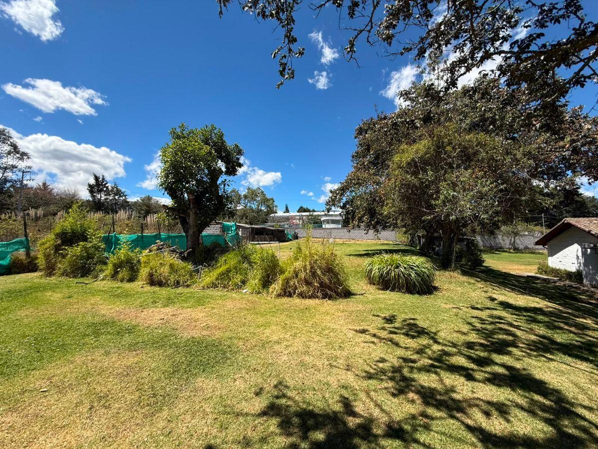 Terreno de 4250 m² en Venta Entre Puembo y Pifo — imagen 6
