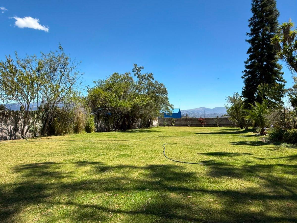 Terreno de 4250 m² en Venta Entre Puembo y Pifo — imagen 4