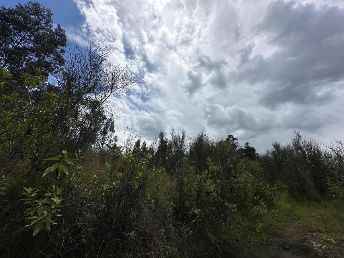 Oportonidad Vendo Excelente Terreno en La Merced — imagen 4