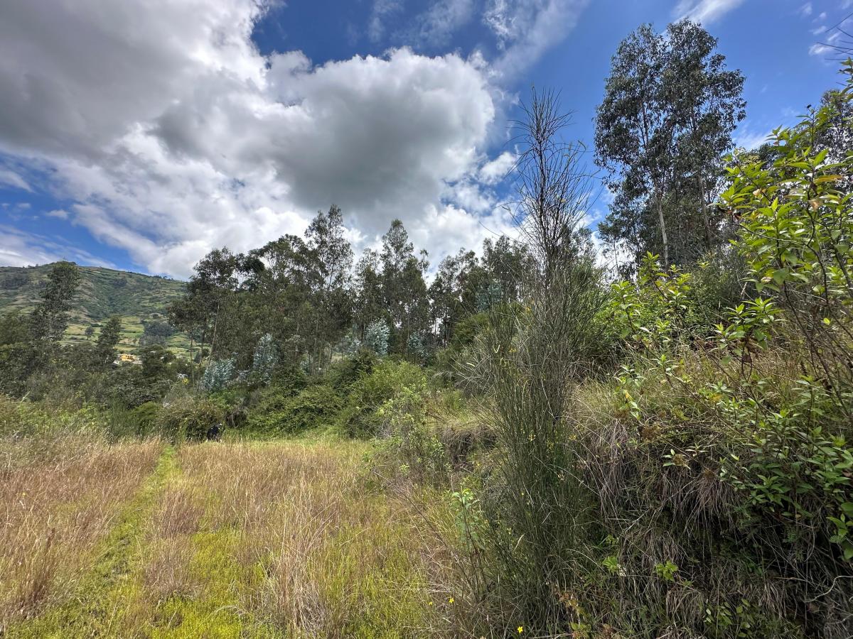 Oportonidad Vendo Excelente Terreno en La Merced — imagen 3