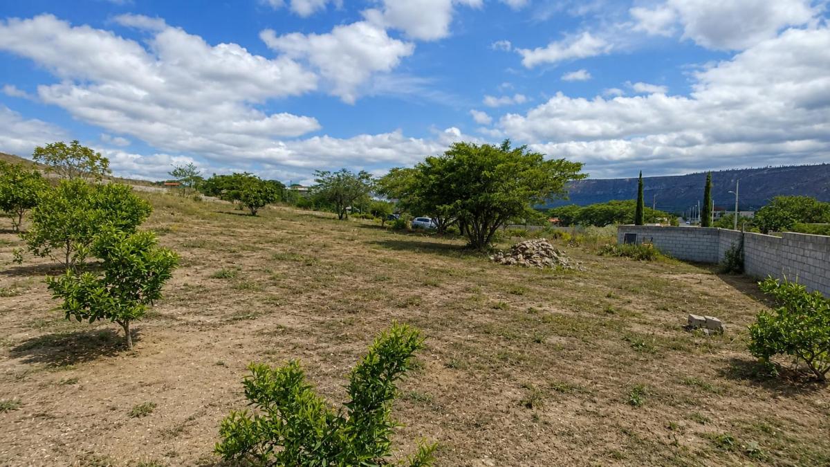 Venta Terreno en Malchinguí 502 m² — imagen 7