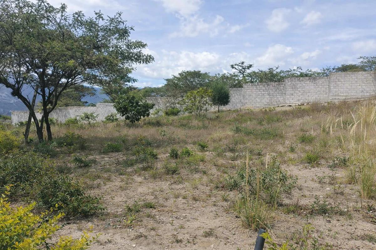 Venta Terreno en Malchinguí 502 m² — imagen 5