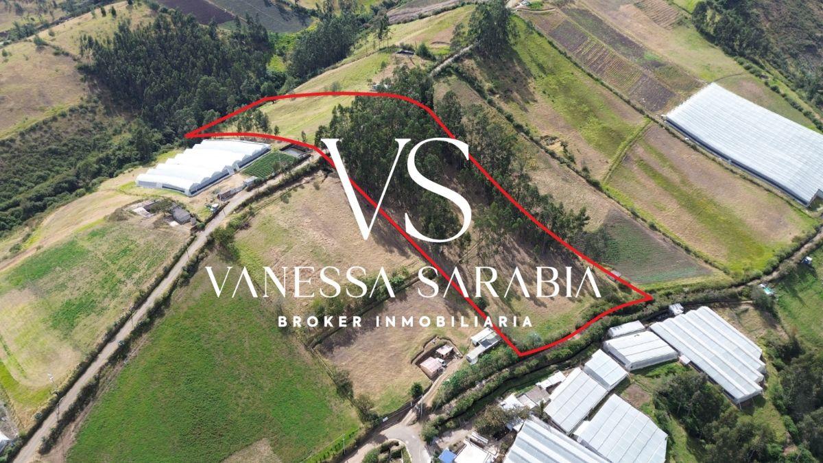 Terreno de 20288 m² en Alquiler en Checa — imagen 10