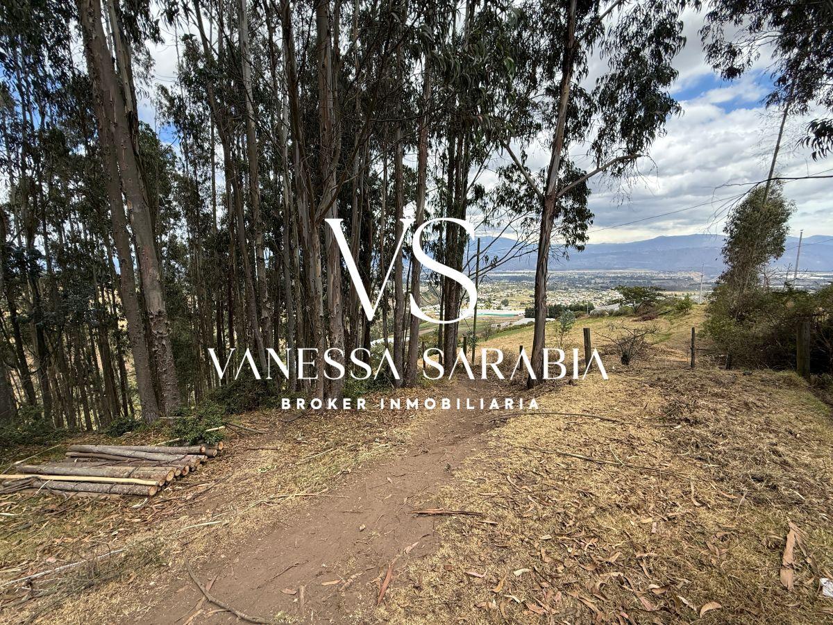 Terreno de 20288 m² en Alquiler en Checa — imagen 9