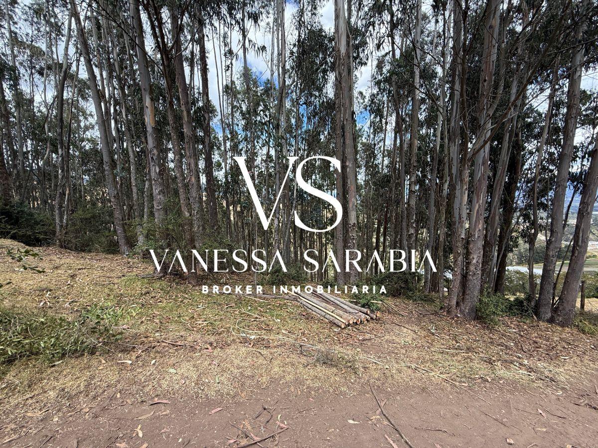 Terreno de 20288 m² en Alquiler en Checa — imagen 8