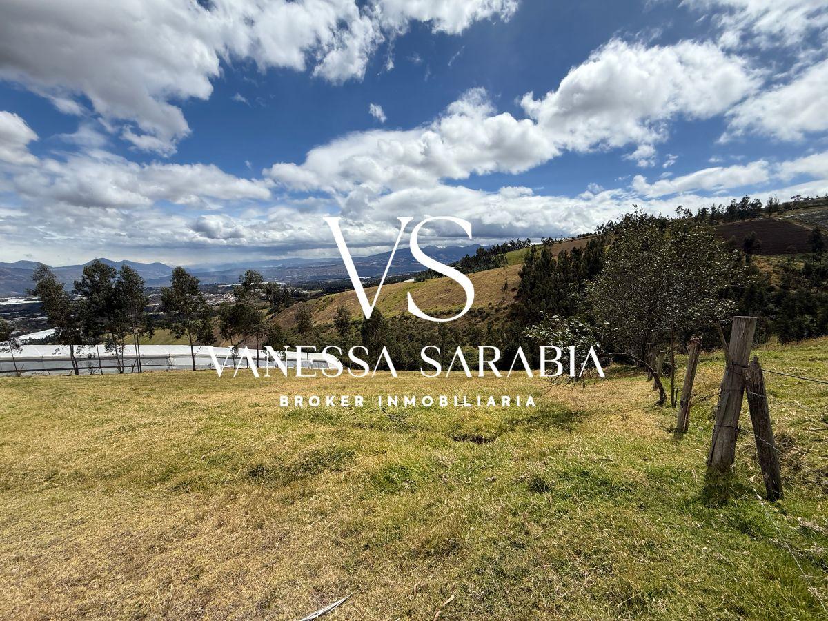Terreno de 20288 m² en Alquiler en Checa — imagen 7