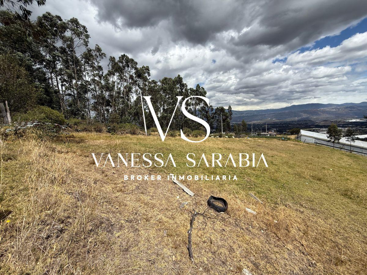 Terreno de 20288 m² en Alquiler en Checa — imagen 5