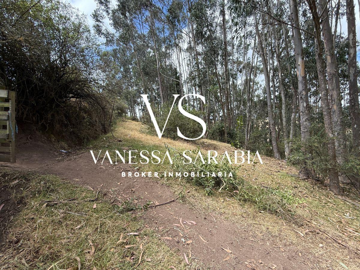 Terreno de 20288 m² en Alquiler en Checa — imagen 3