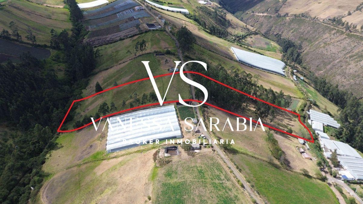 Terreno de 20288 m² en Alquiler en Checa — imagen 2