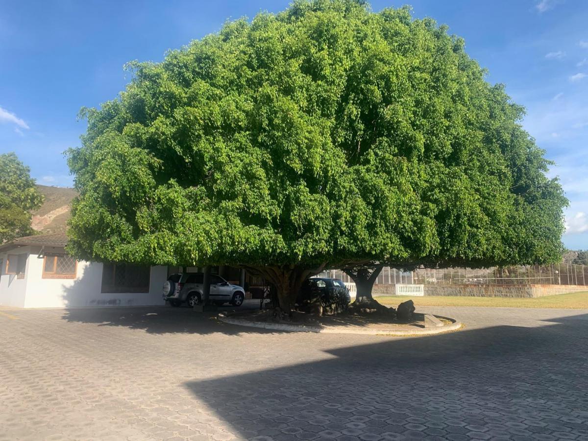 Venta Terreno m Pomasqui — imagen 9