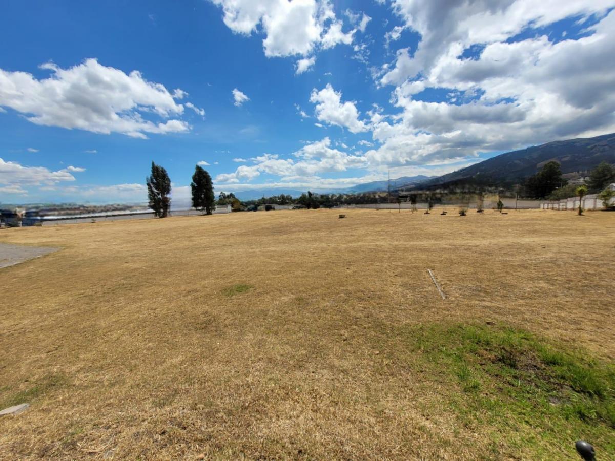 Terreno en Arriendo Uso de Suelo Múltiple — imagen 8