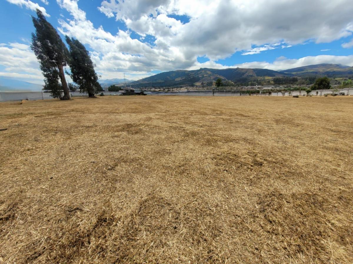 Terreno en Arriendo Uso de Suelo Múltiple — imagen 7