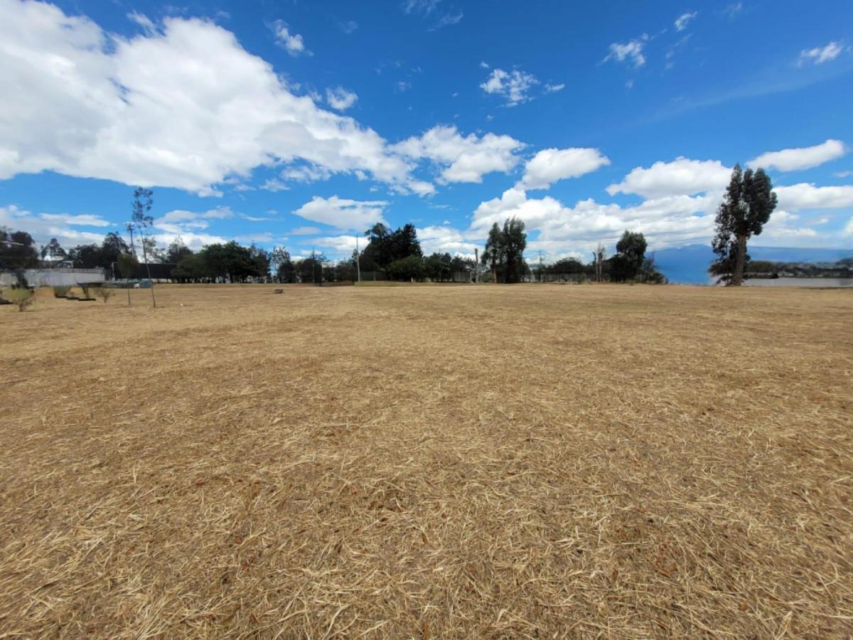 Terreno en Arriendo Uso de Suelo Múltiple — imagen 5