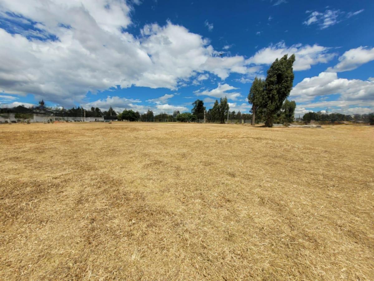 Terreno en Arriendo Uso de Suelo Múltiple — imagen 4