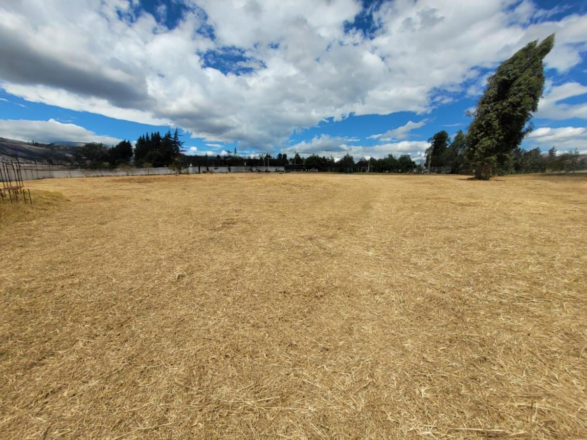 Terreno en Arriendo Uso de Suelo Múltiple — imagen 3