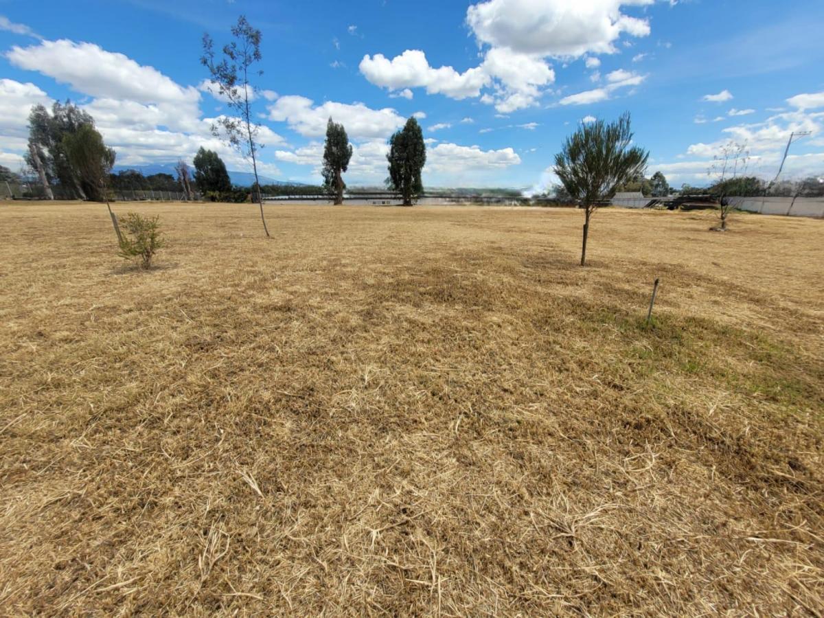 Terreno en Arriendo Uso de Suelo Múltiple — imagen 2