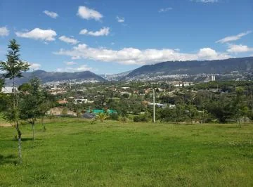 Vendo Hermoso Terreno en La Quinta Cumbayá por Colegio Menor! — imagen 5