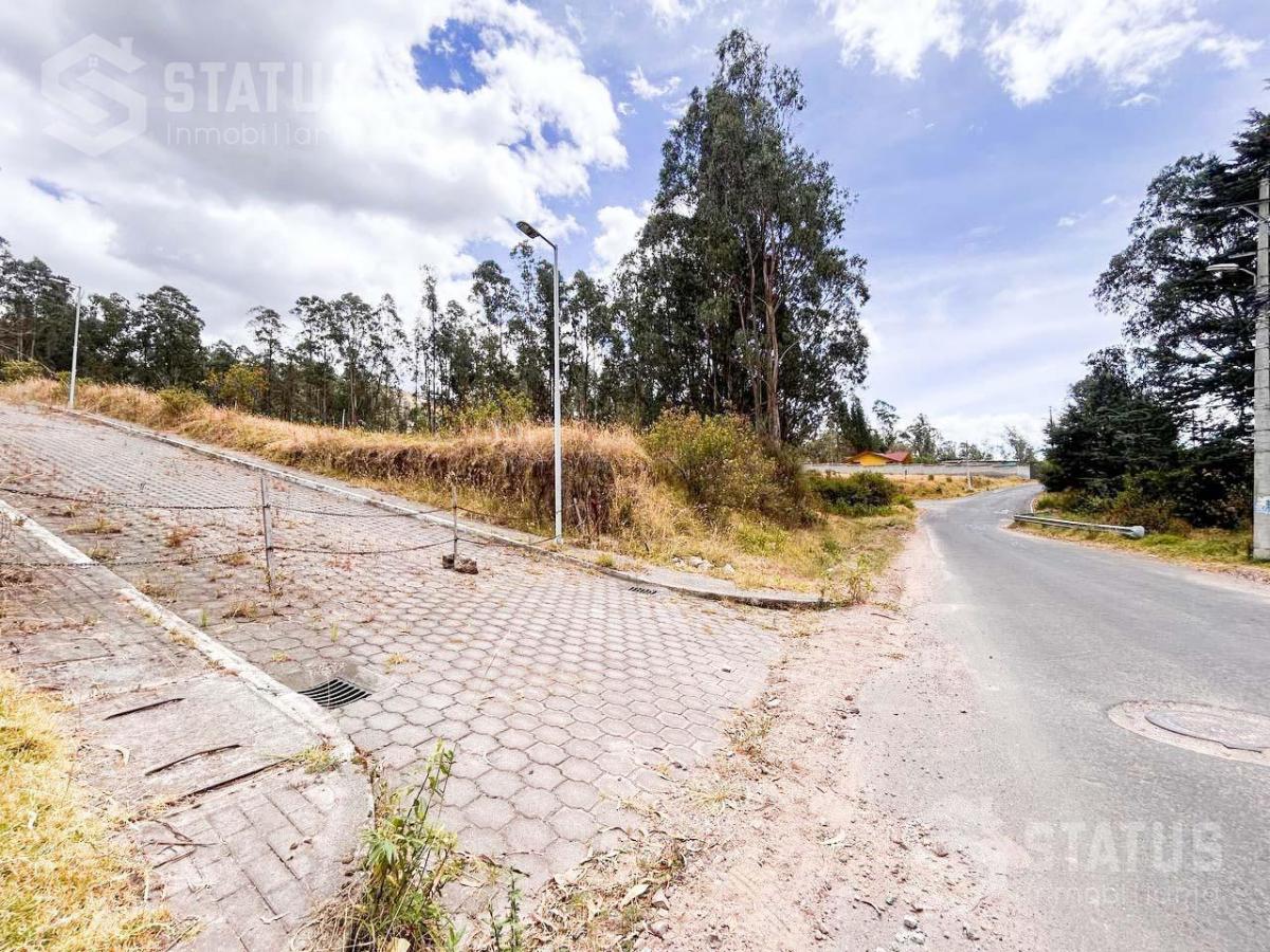 Venta de Terreno Sector La Macarena - Sobre La Av Vicente Ramón Roca — imagen 10