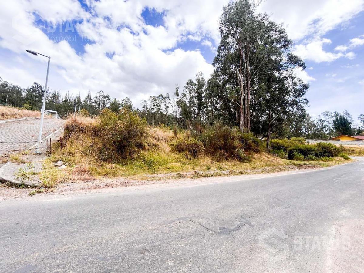 Venta de Terreno Sector La Macarena - Sobre La Av Vicente Ramón Roca — imagen 9