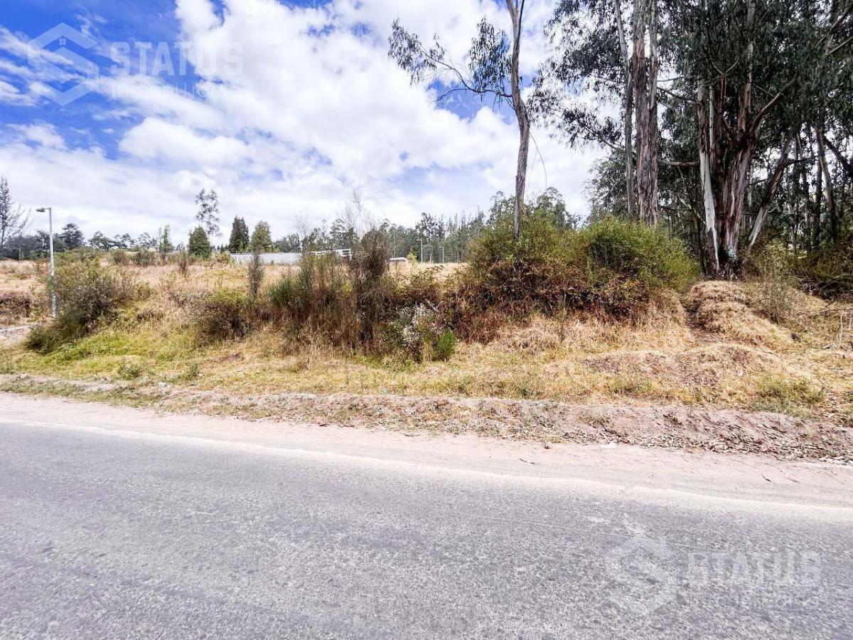 Venta de Terreno Sector La Macarena - Sobre La Av Vicente Ramón Roca — imagen 8