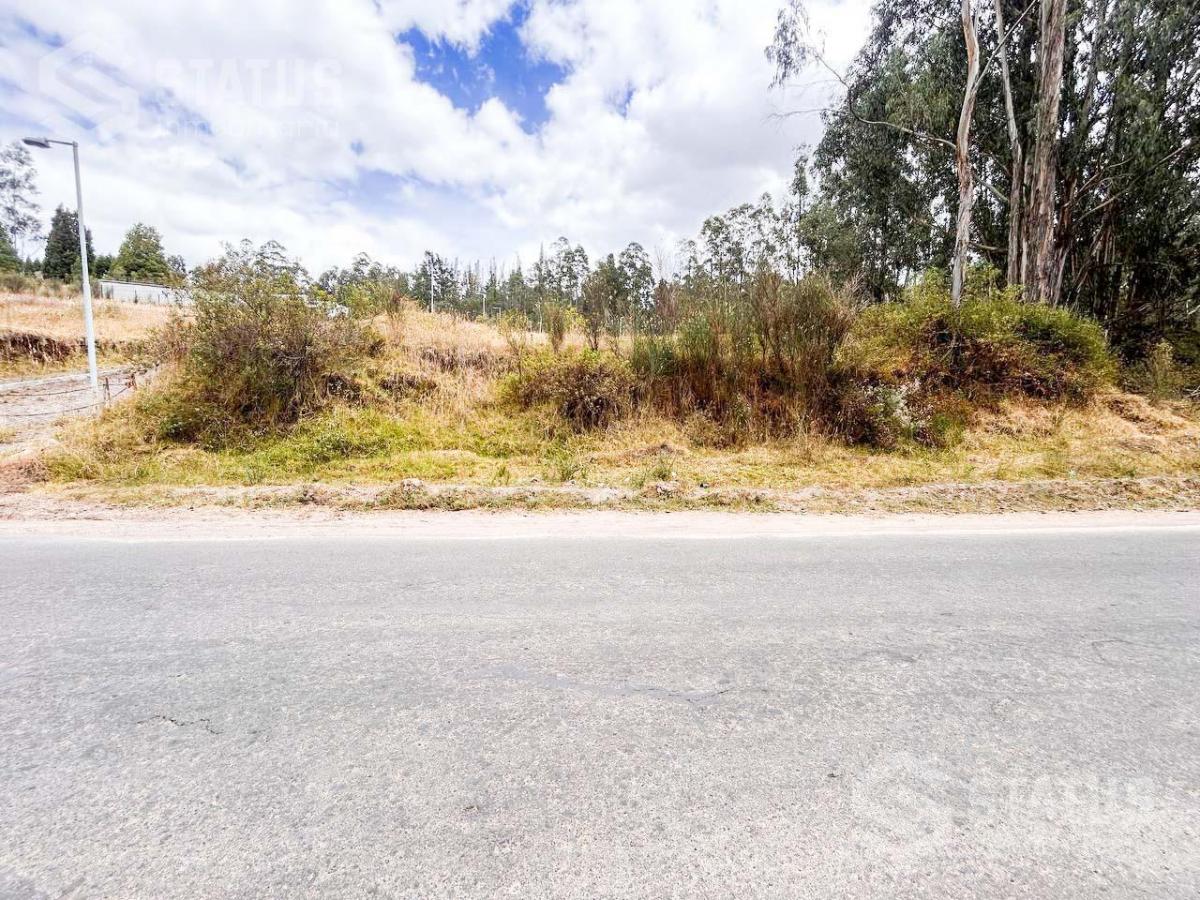 Venta de Terreno Sector La Macarena - Sobre La Av Vicente Ramón Roca — imagen 7