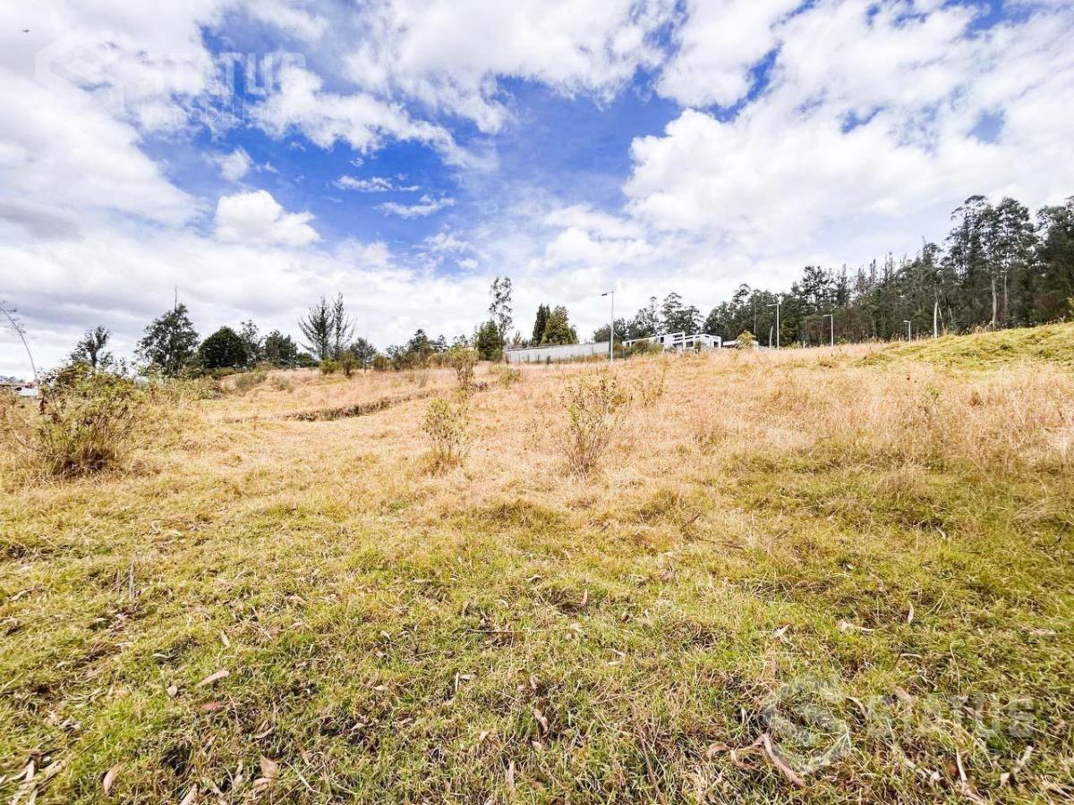 Venta de Terreno Sector La Macarena - Sobre La Av Vicente Ramón Roca — imagen 6