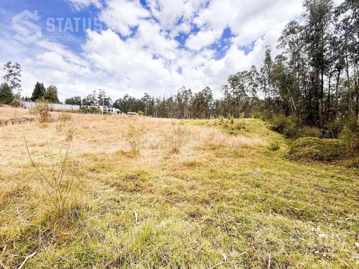 Venta de Terreno Sector La Macarena - Sobre La Av Vicente Ramón Roca — imagen 5