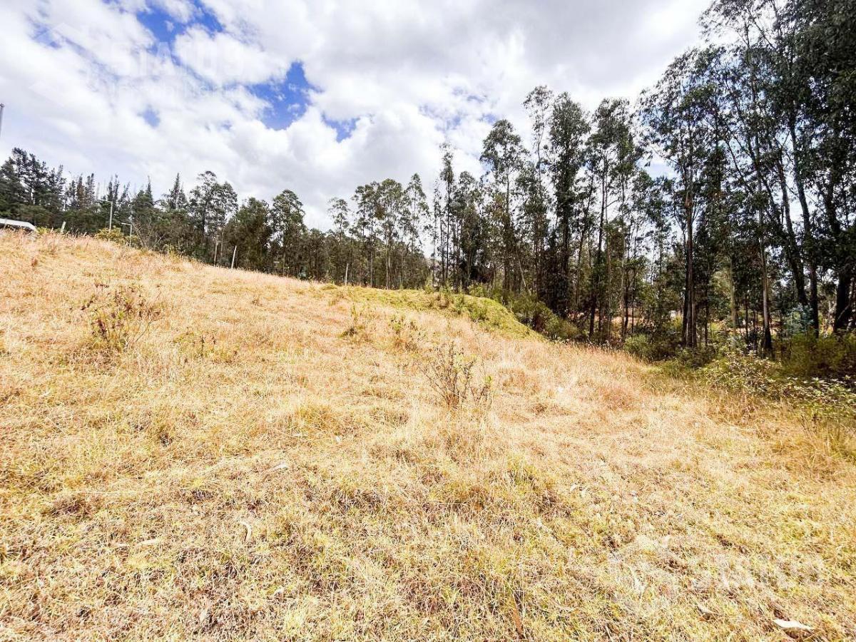 Venta de Terreno Sector La Macarena - Sobre La Av Vicente Ramón Roca — imagen 4