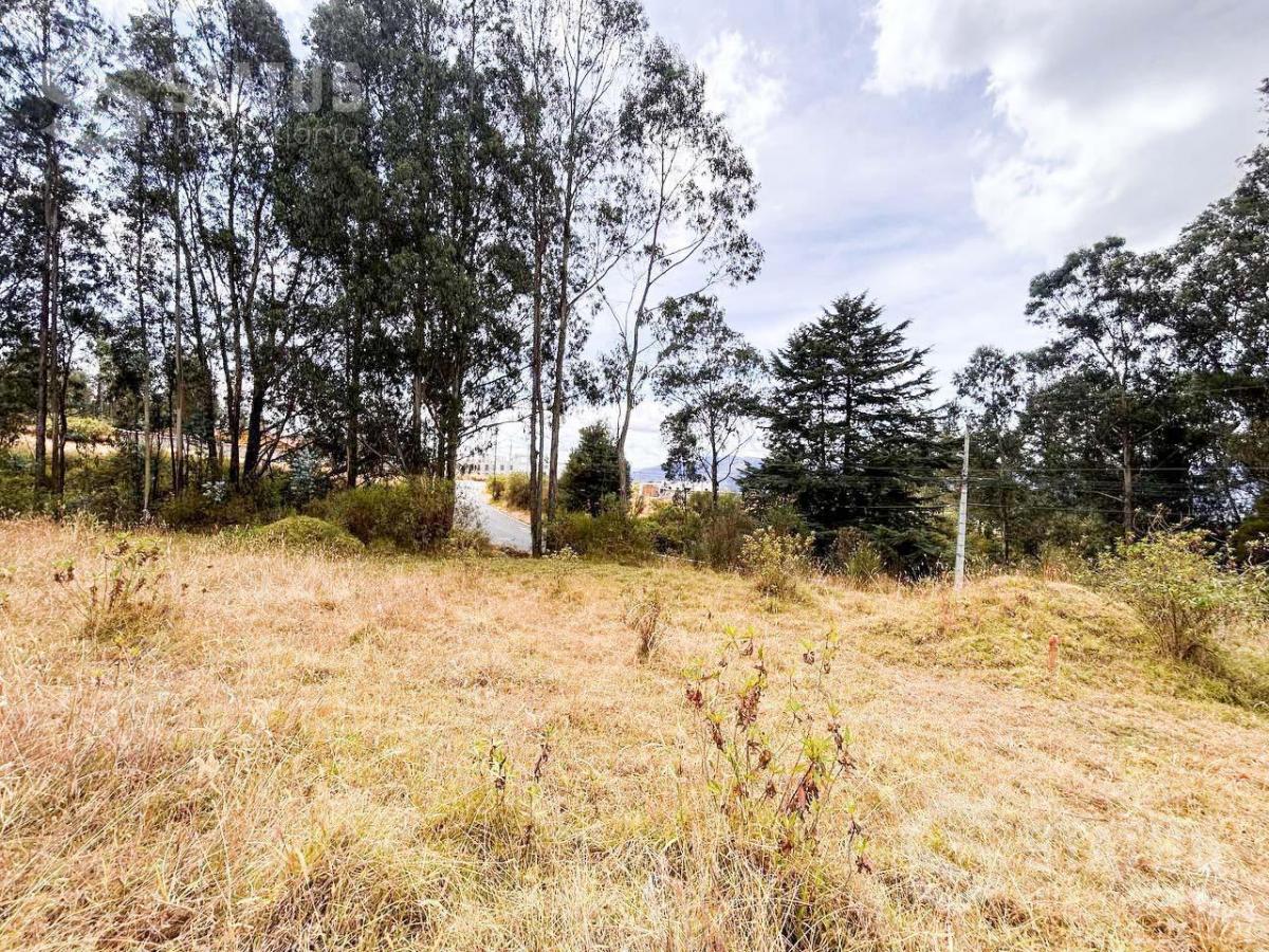 Venta de Terreno Sector La Macarena - Sobre La Av Vicente Ramón Roca — imagen 3