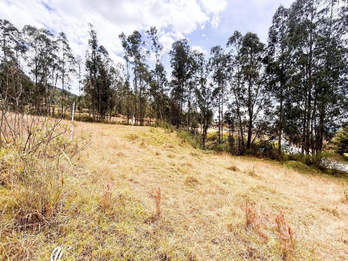 Venta de Terreno Sector La Macarena - Sobre La Av Vicente Ramón Roca — imagen 2