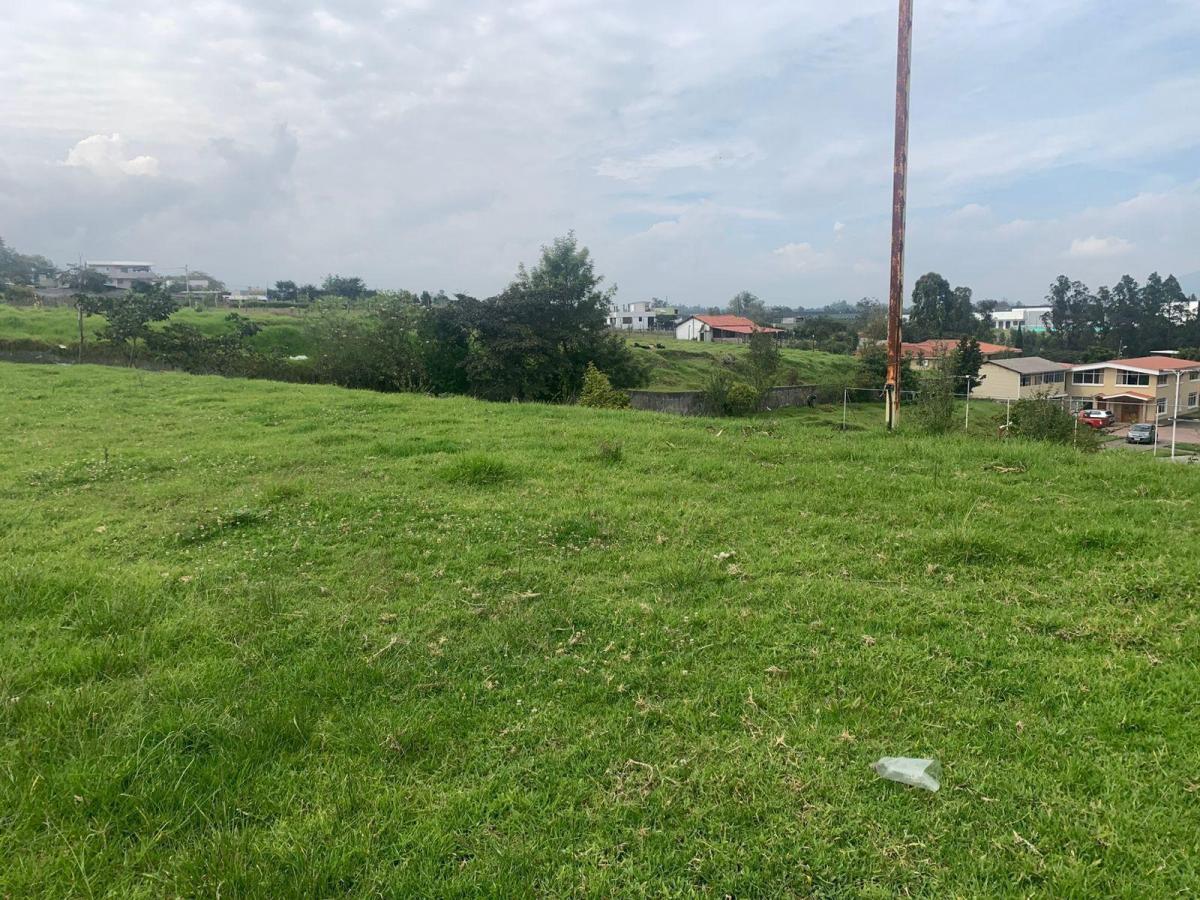 Venta Terreno El Vergel Tababela — imagen 10