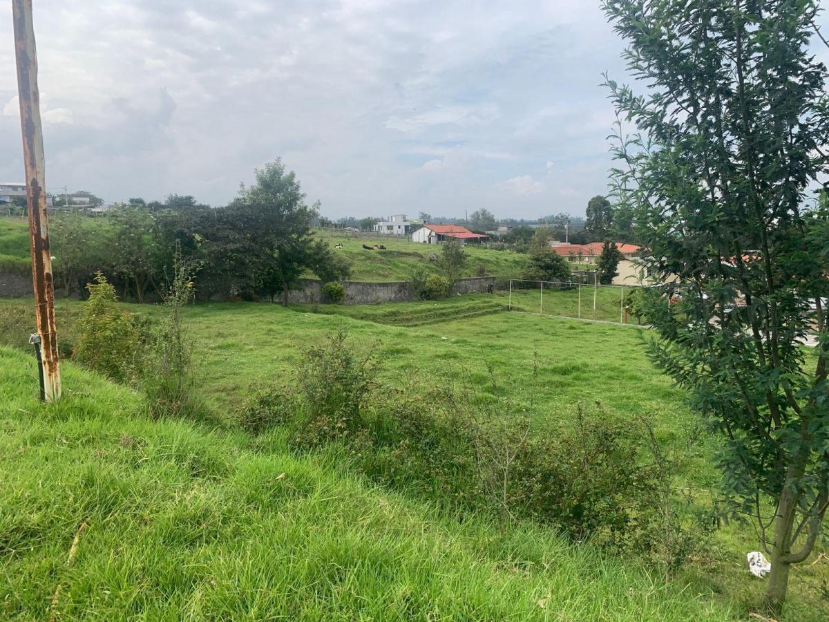 Venta Terreno El Vergel Tababela — imagen 9