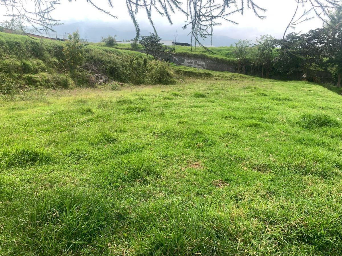 Venta Terreno El Vergel Tababela — imagen 8