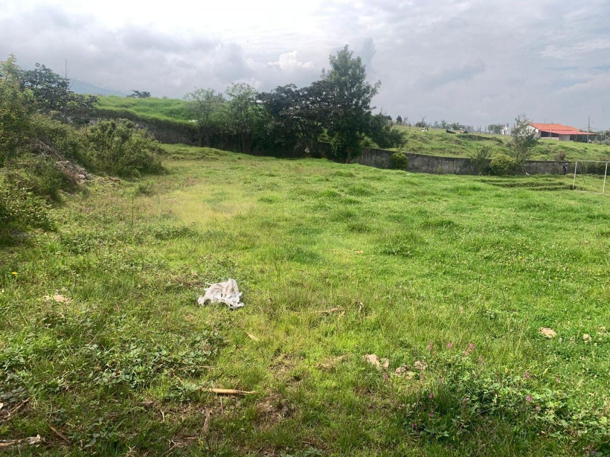 Venta Terreno El Vergel Tababela — imagen 5