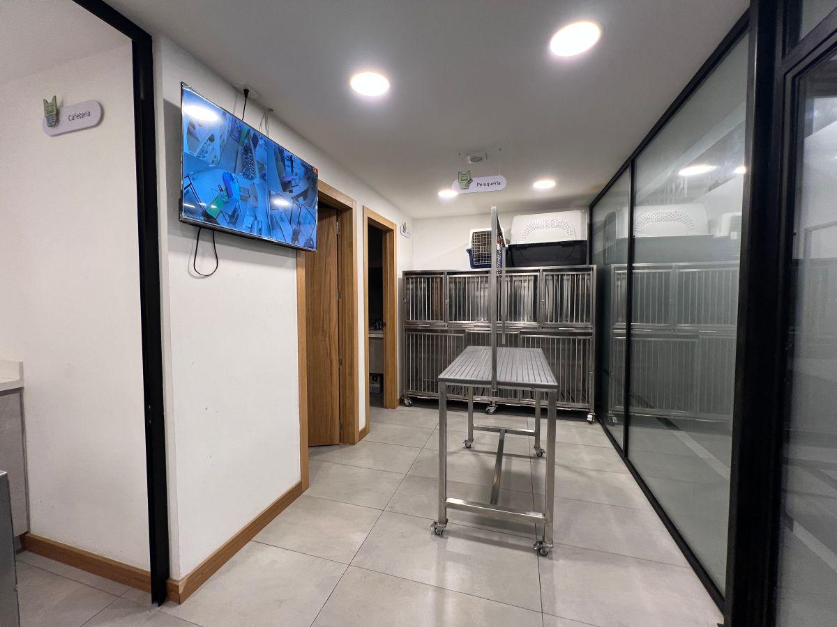Clínica Veterinaria en Venta en Cuenca, Azuay — imagen 3