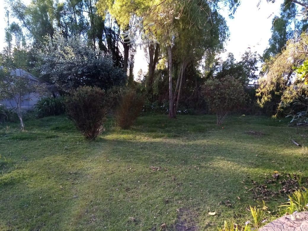 Venta Terreno en Checa 11.225 m² Propiedad en Produccion — imagen 8