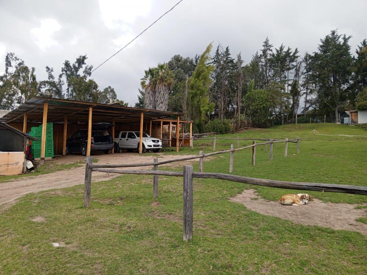 Venta Terreno en Checa 11.225 m² Propiedad en Produccion — imagen 7