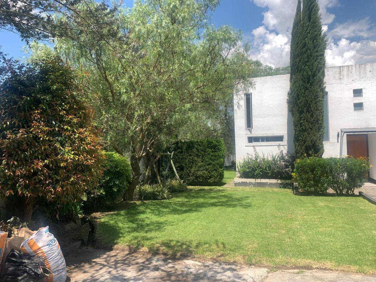 Venta Casa con Terreno 800 m Sector Pifo — imagen 4