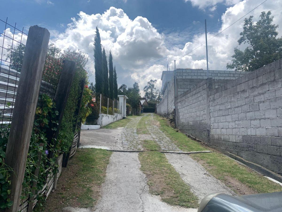 Venta Casa con Terreno 800 m Sector Pifo — imagen 3
