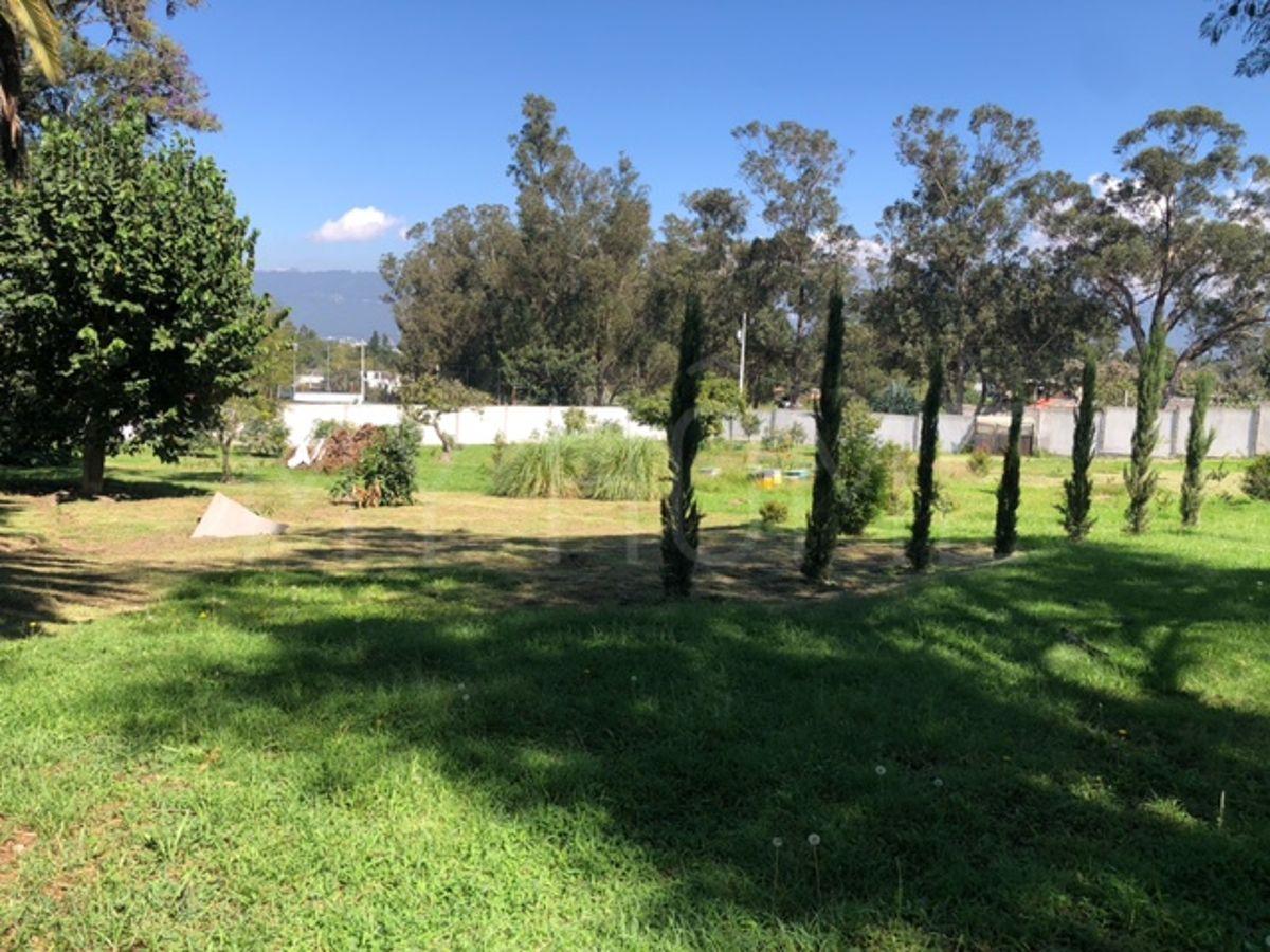 Terreno, Excelente Plano, Vegetación, Cerramiento — imagen 9