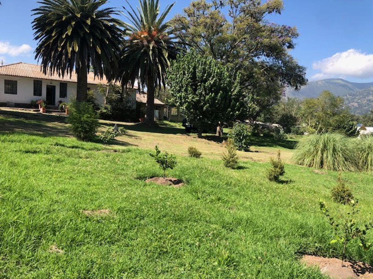 Terreno, Excelente Plano, Vegetación, Cerramiento — imagen 6