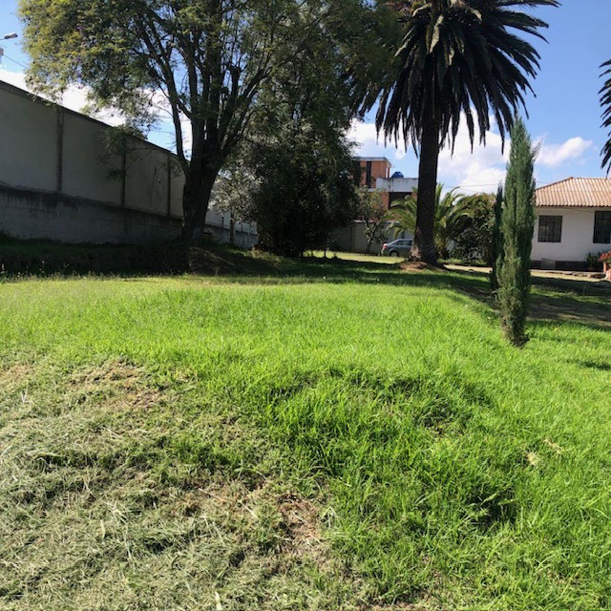 Terreno, Excelente Plano, Vegetación, Cerramiento — imagen 5