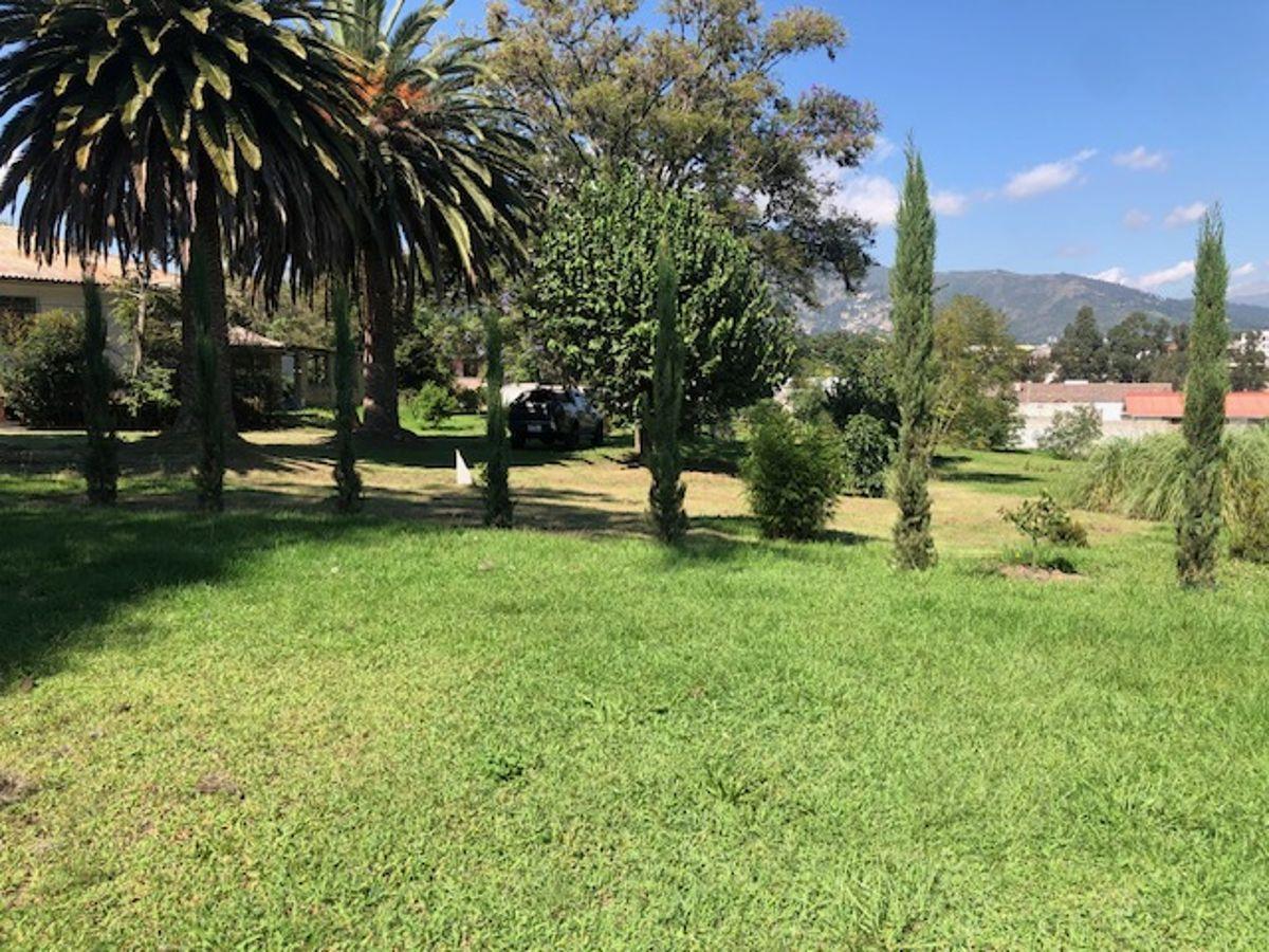 Terreno, Excelente Plano, Vegetación, Cerramiento — imagen 3