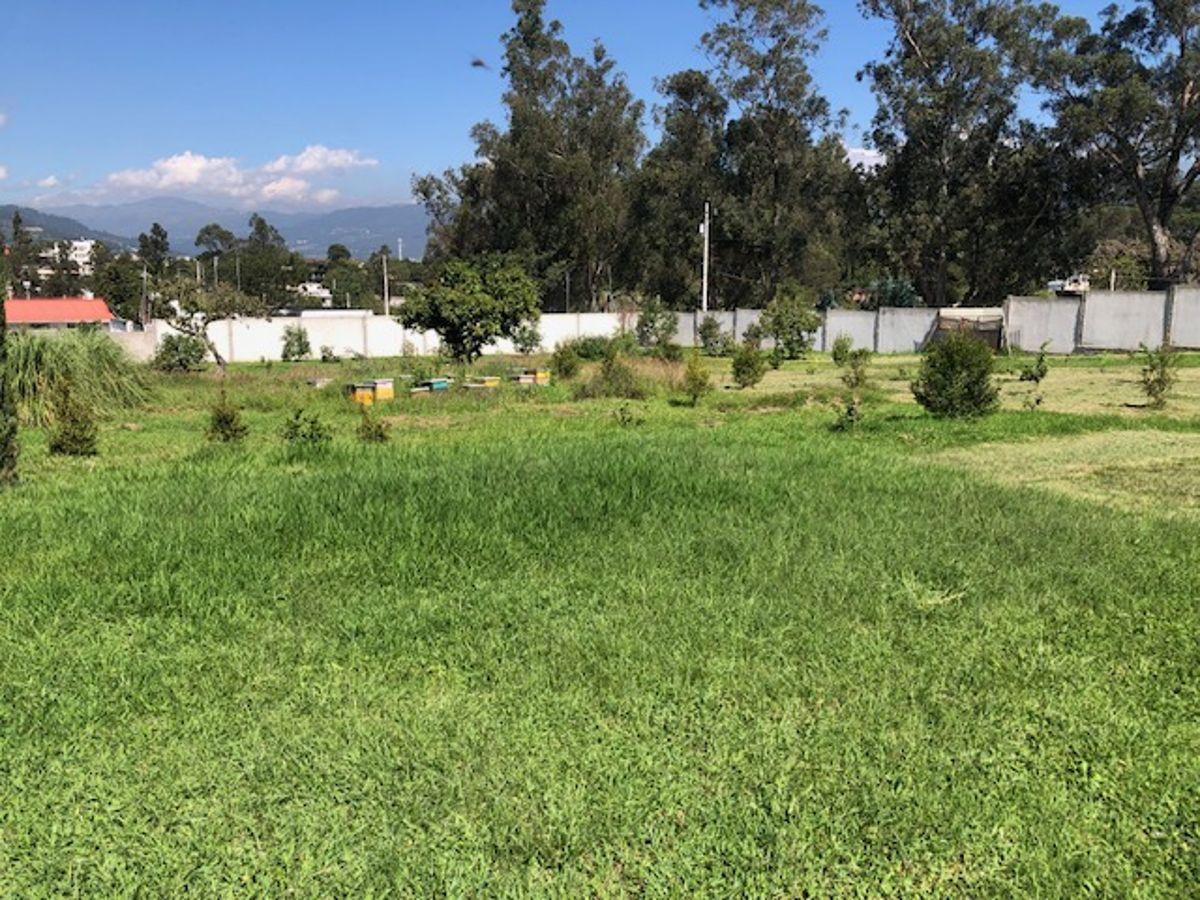 Terreno, Excelente Plano, Vegetación, Cerramiento — imagen 2