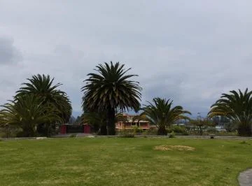 Sector Tababela, en Renta Quinta y Terreno de 10.4 Has — imagen 5
