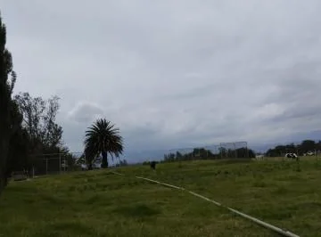 Sector Tababela, en Renta Quinta y Terreno de 10.4 Has — imagen 2