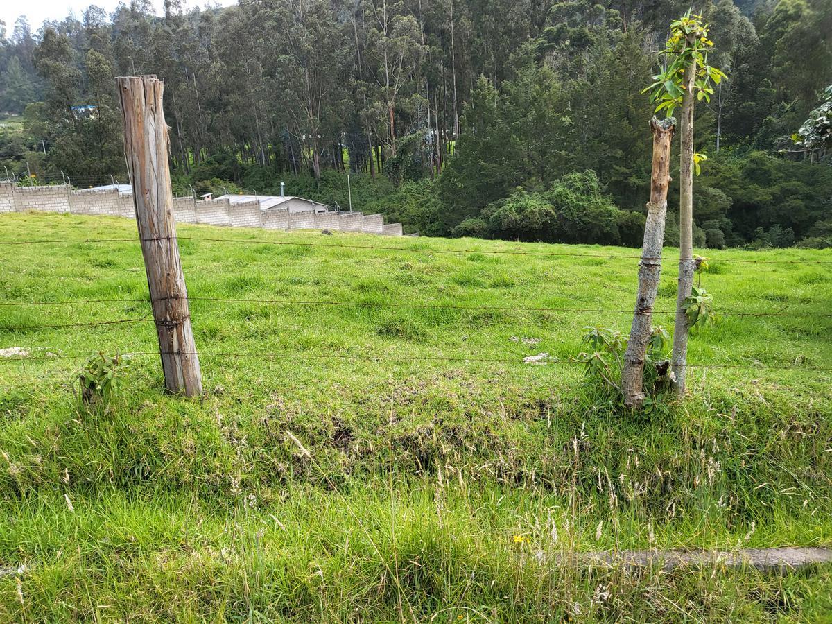 Terreno de Venta Sector Pinllocoto Sangolquí — imagen 8